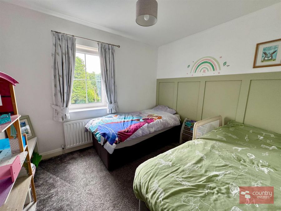 15 Springfields