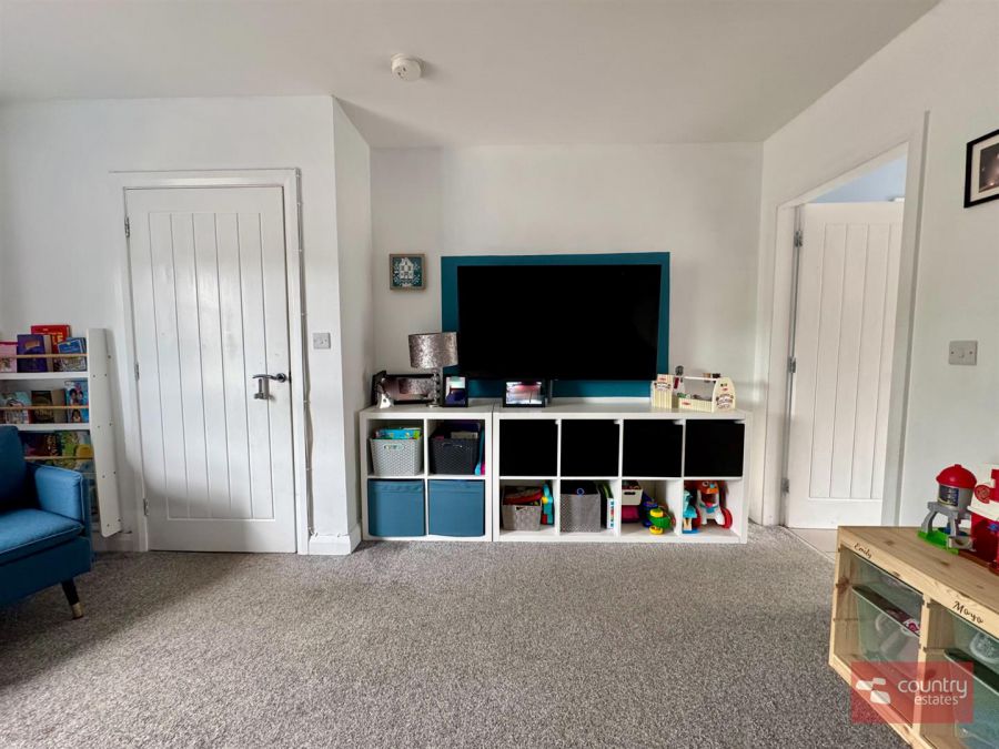 15 Springfields
