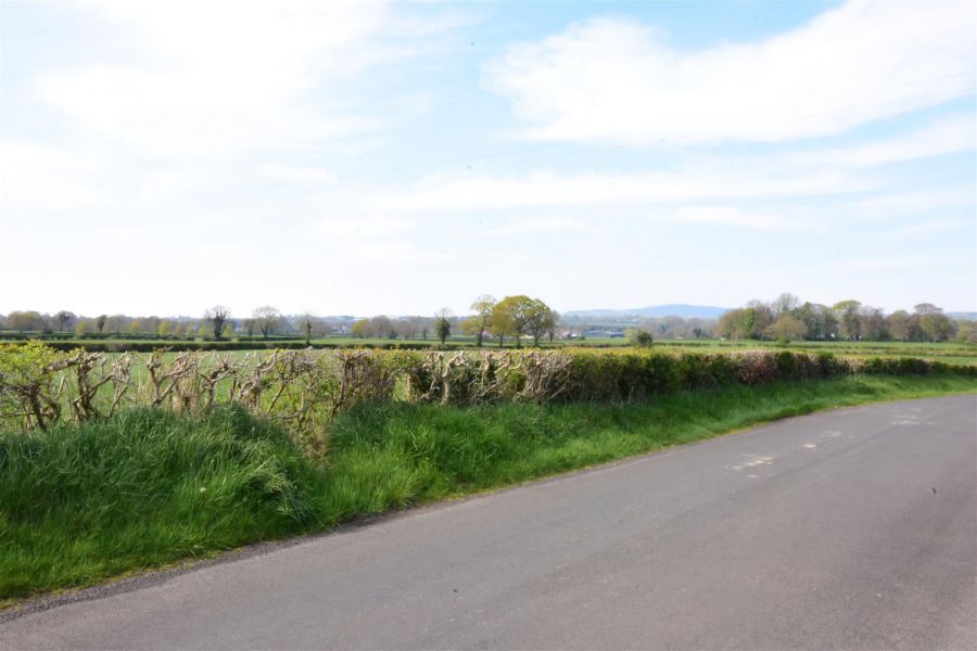 40 Shaneoguestown Road
