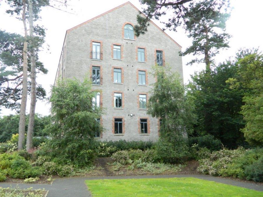 20 Six Mile Water Mill
