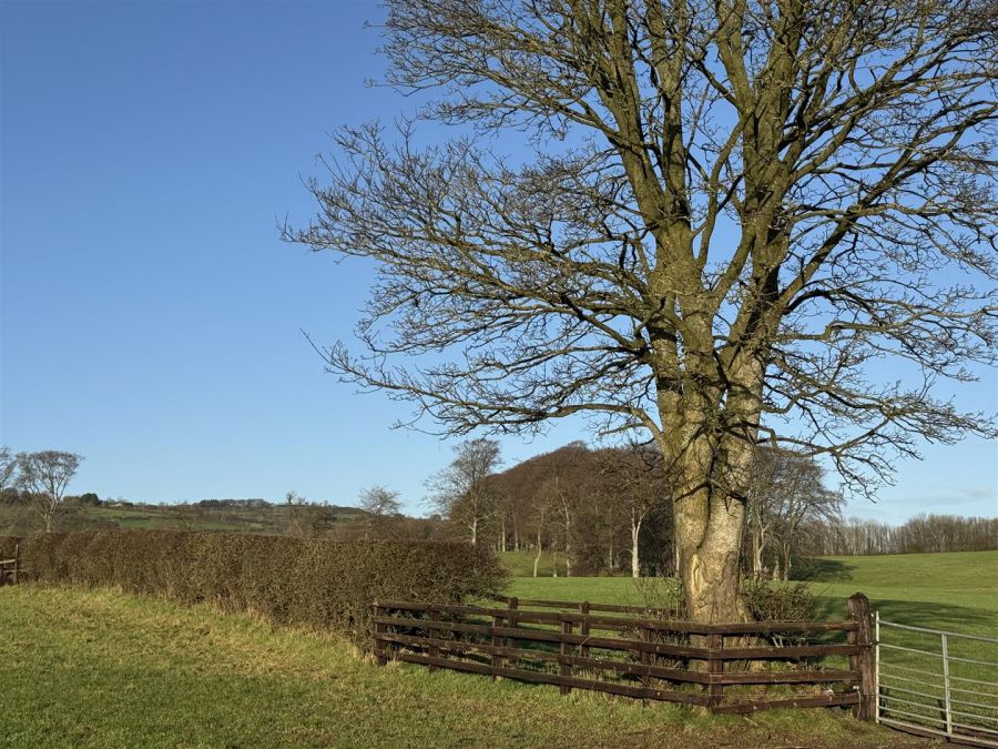 25 Ballybentragh Road