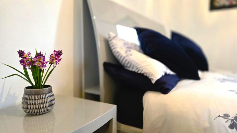 10 Birch Hill Meadows