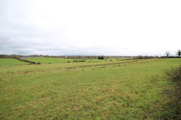 Agricultural Lands At Millbank Road East
