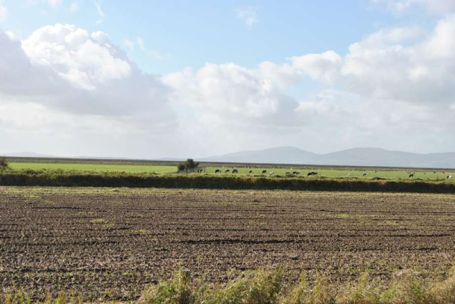 142 Carrowclare Road