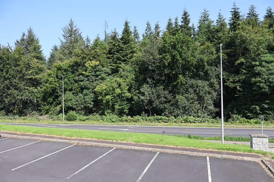 8 Forest Drive