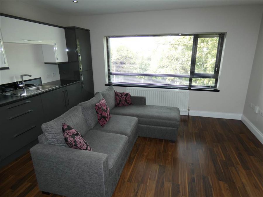 Apt 5 223 Belmont Road
