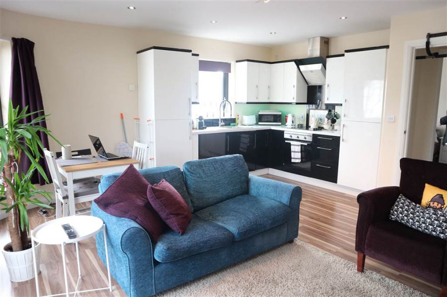 Apt 2 223D Belmont Road