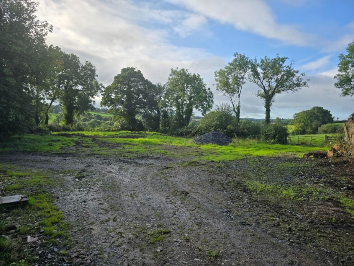 Land & Yard With Outbuildings @Derryhaw Road Land & Yard With Outbuildings @Derryhaw Road