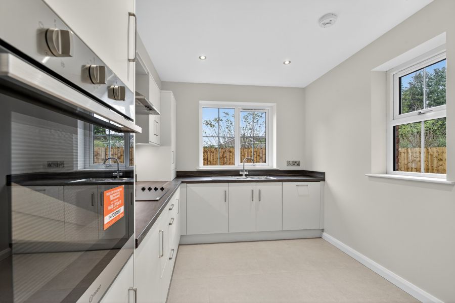 The Bluebell, Site 7 Glencombe Wood