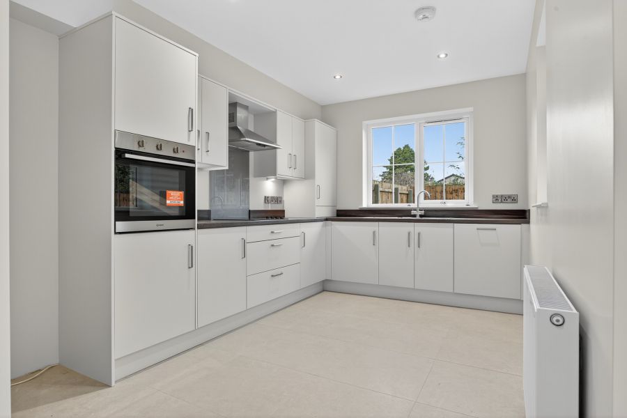 The Bluebell, Site 7 Glencombe Wood