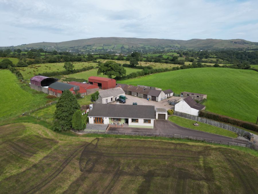 27 Carrydarragh Road