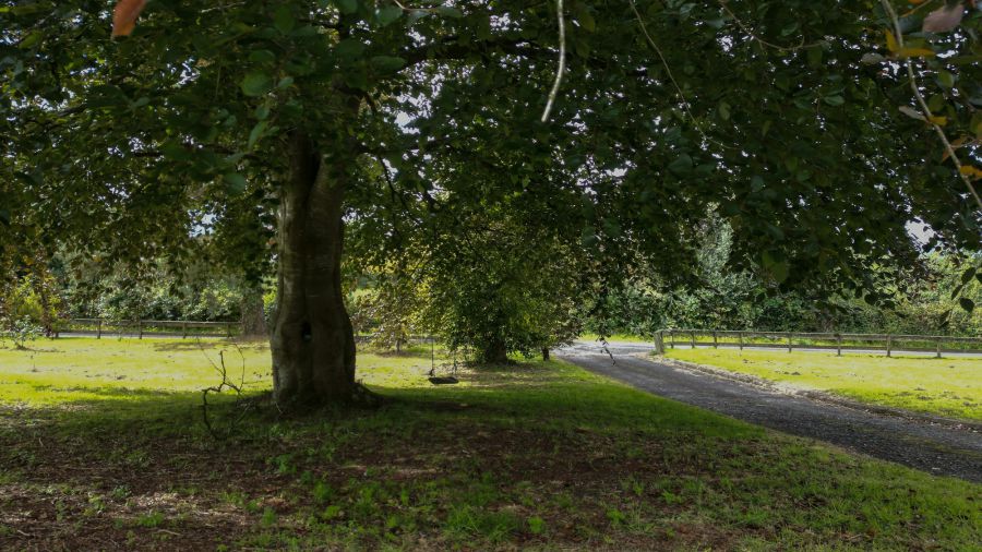 37 Derrygarve Park