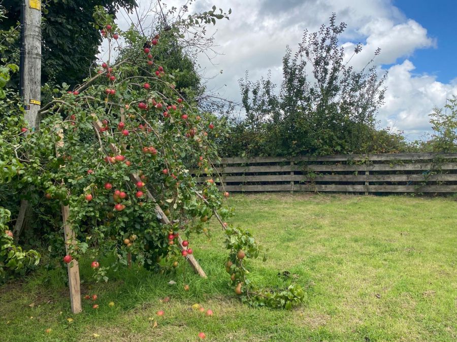 37 Derrygarve Park
