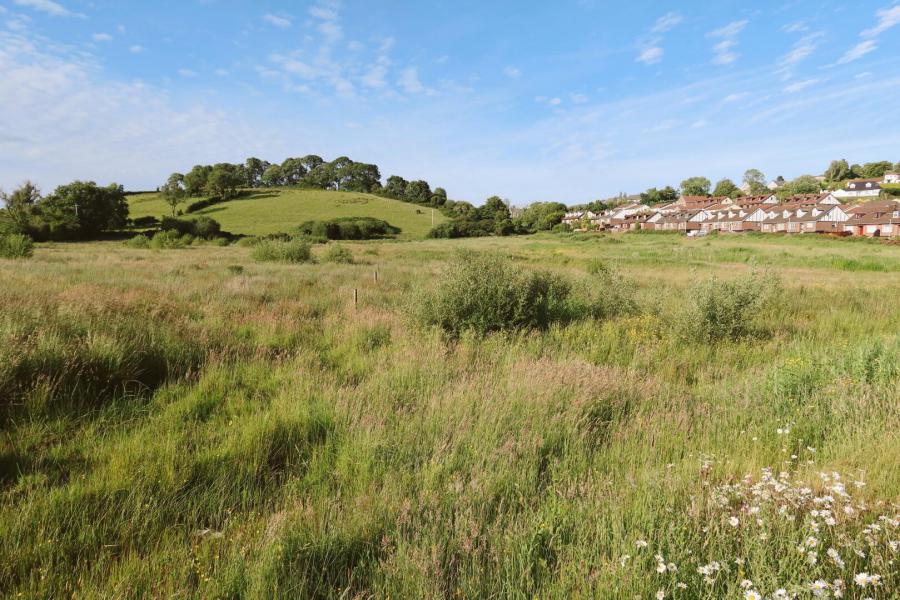 Development Site, Quarry Lane
