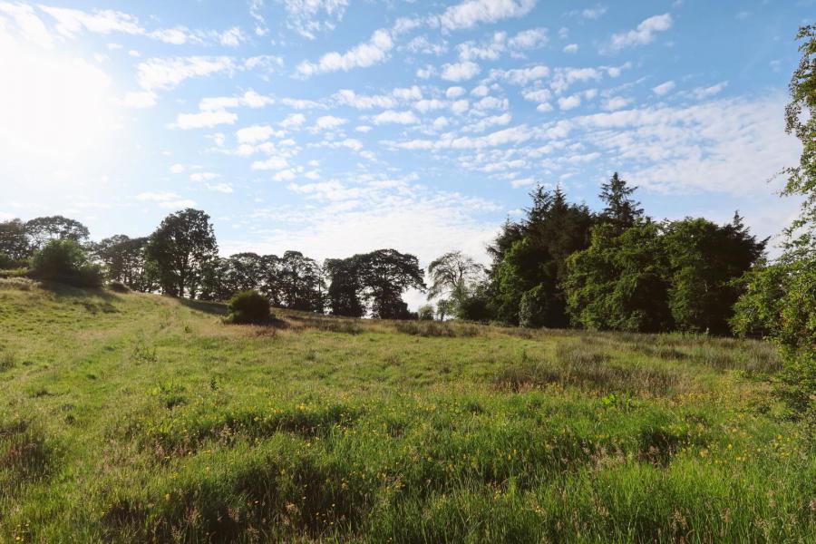 Development Site, Quarry Lane