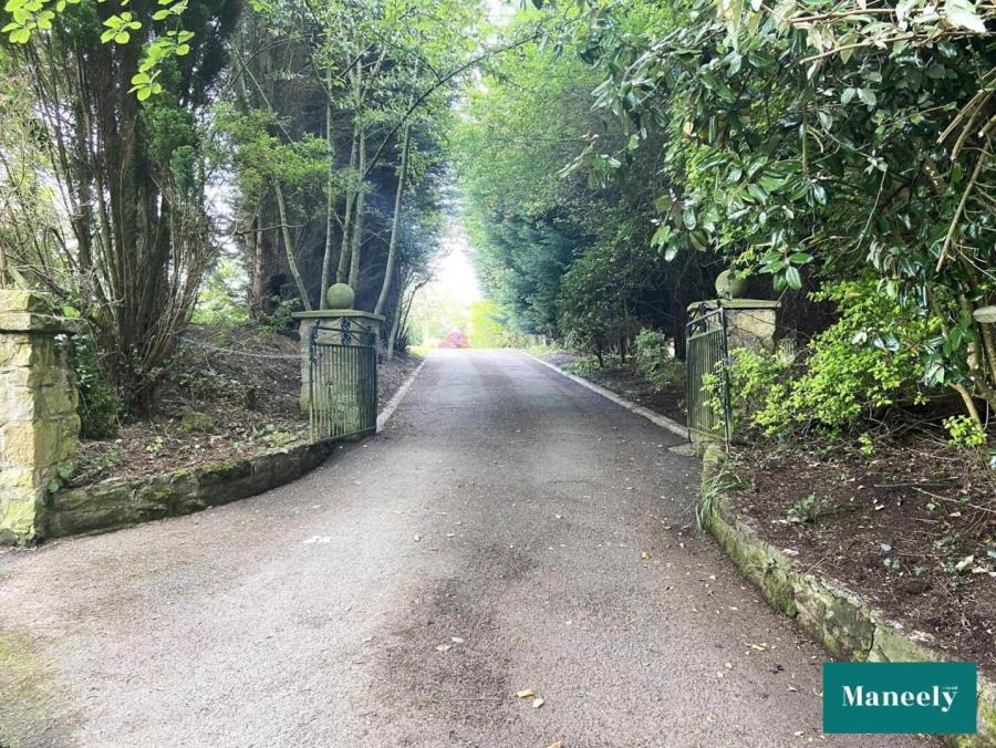 135 Coalisland Road