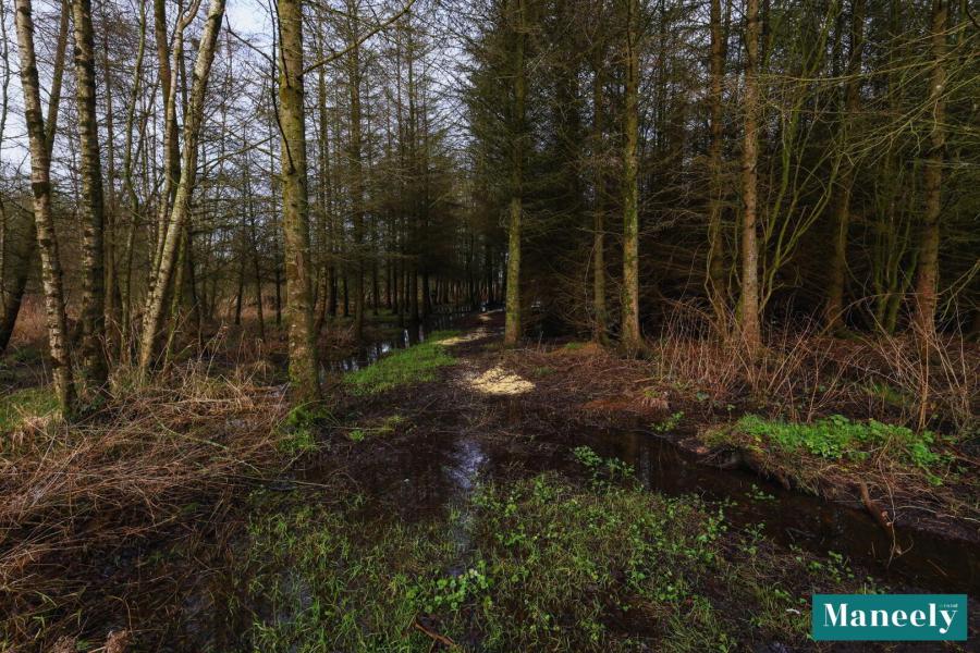 203 Ballynakilly Road