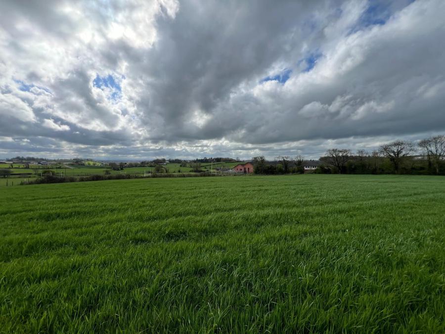 Land At Killymeal Road