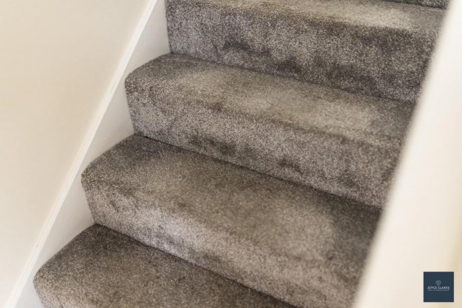 12 Kensington Avenue