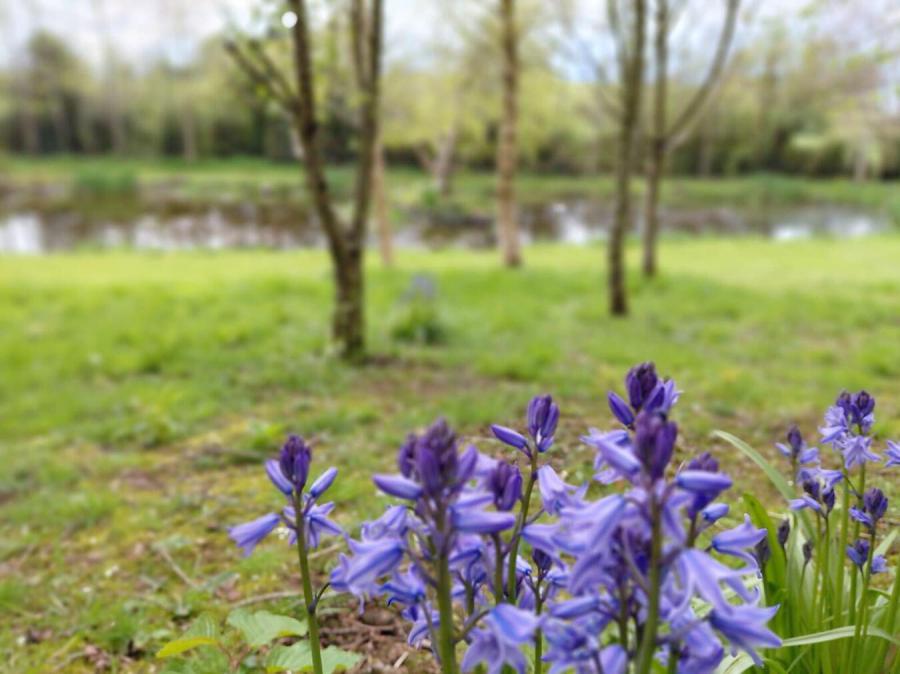 263A Markethill Road