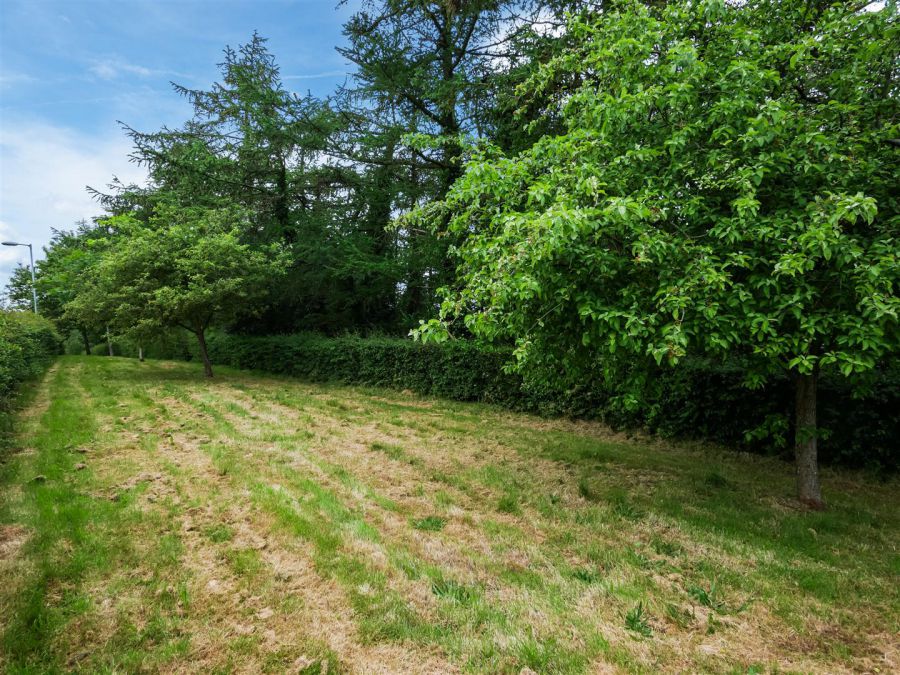 45 Alveston Park