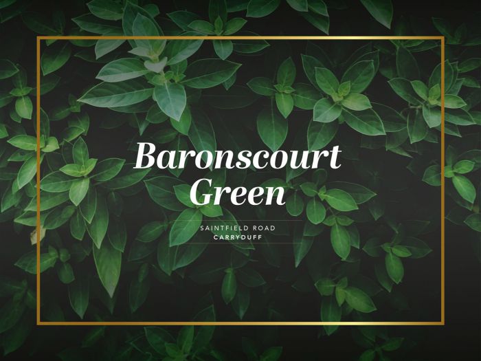 The Blaney, Site 5 Baronscourt Green, Saintfield Road