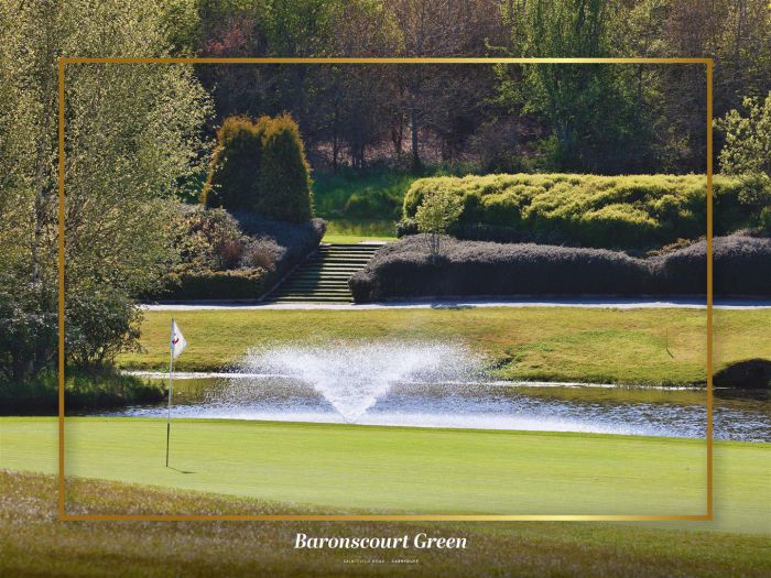 The Blaney, Site 5 Baronscourt Green, Saintfield Road