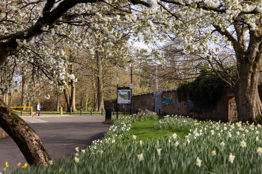 46 Knockbreda Park