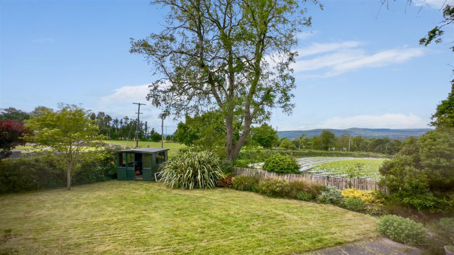 1 Pinewood Park