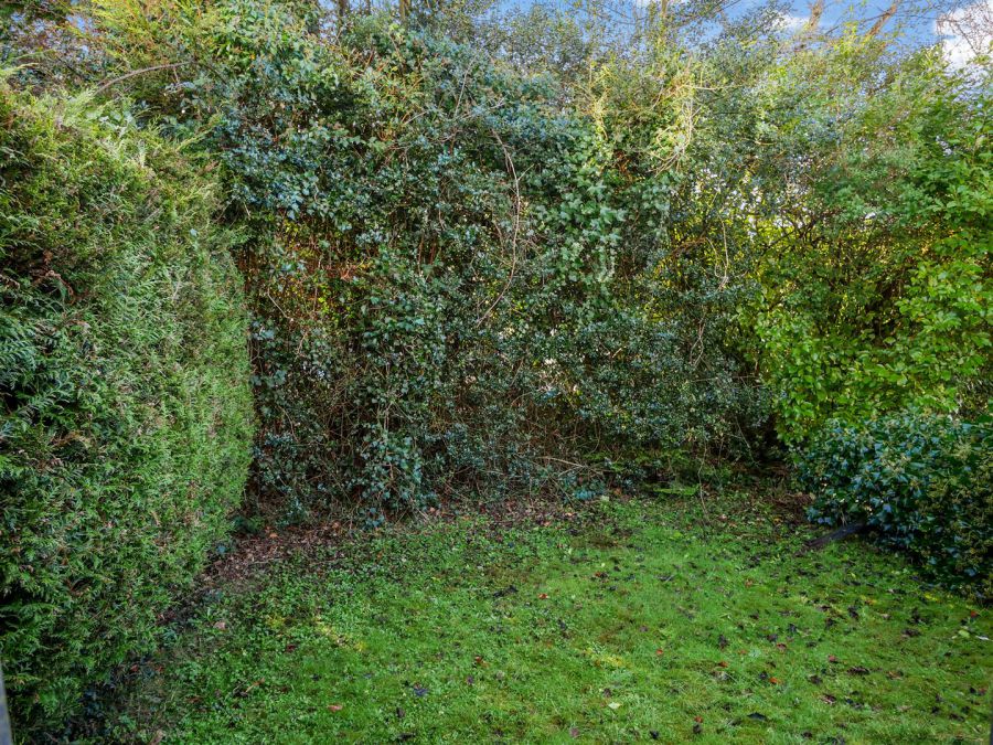 33 Mount Michael Park