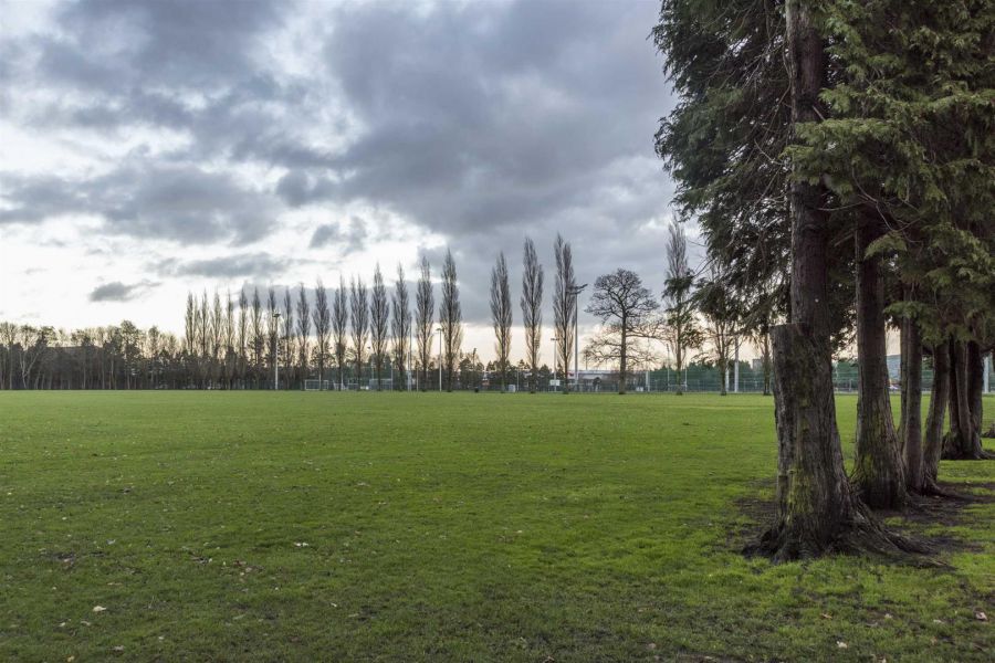 133 Knockbreda Park