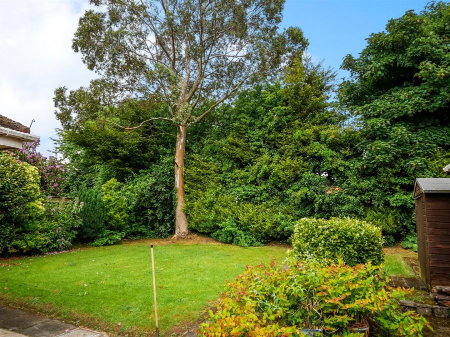 17 Beechill Park Avenue