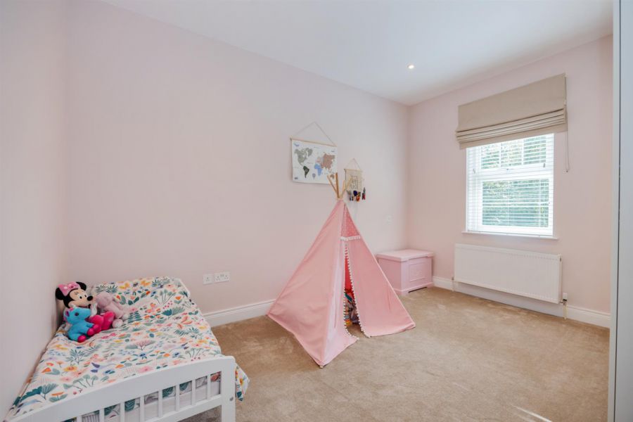 9 Haddo Woods