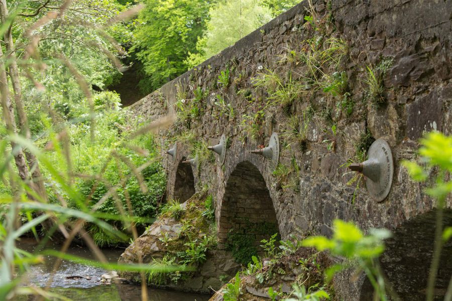 9 Haddo Woods