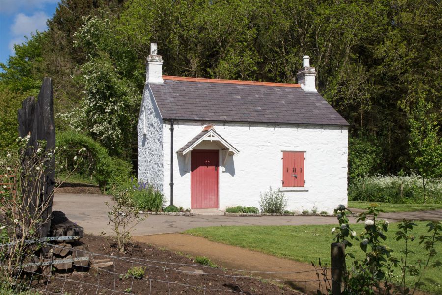 9 Haddo Woods