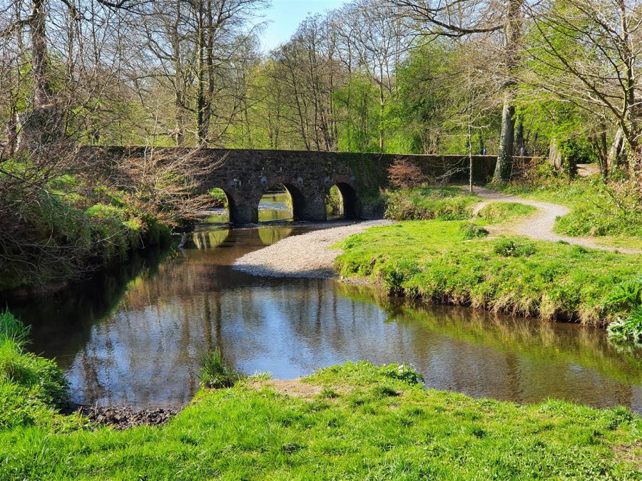 9 Haddo Woods