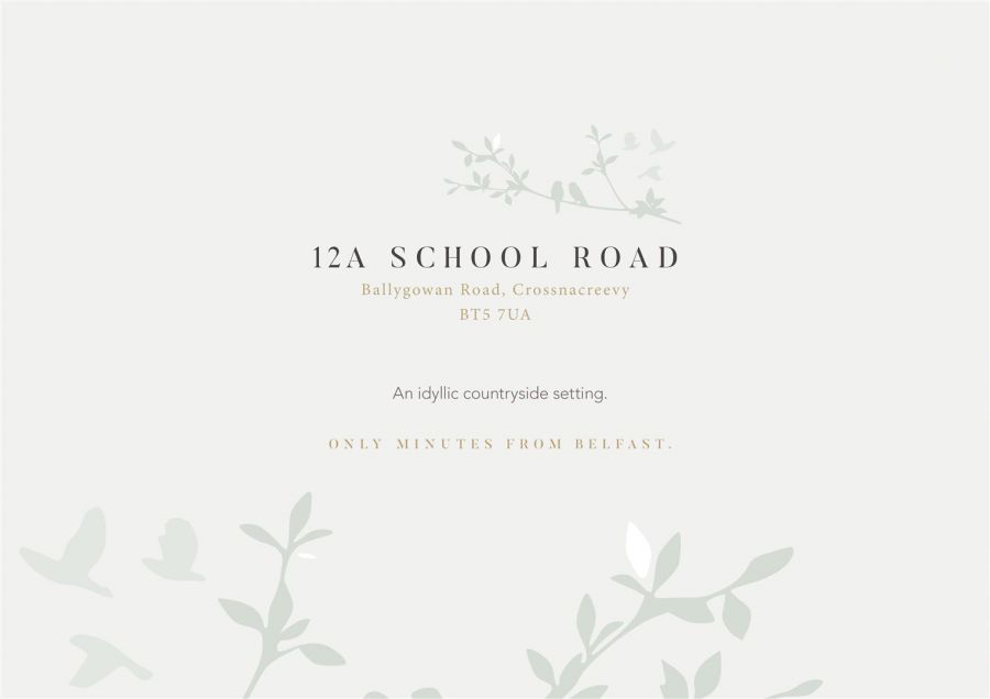 12a School Road, Ballygowan Road