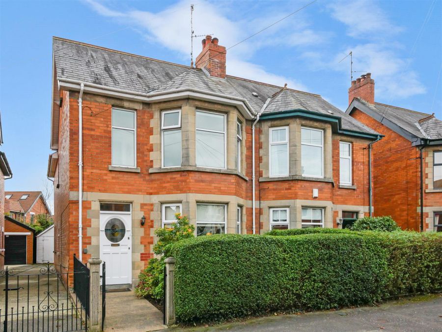 24 St. Johns Avenue