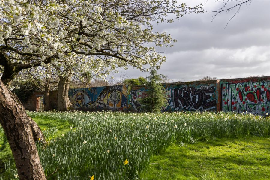 12 Ravenhill Park Gardens