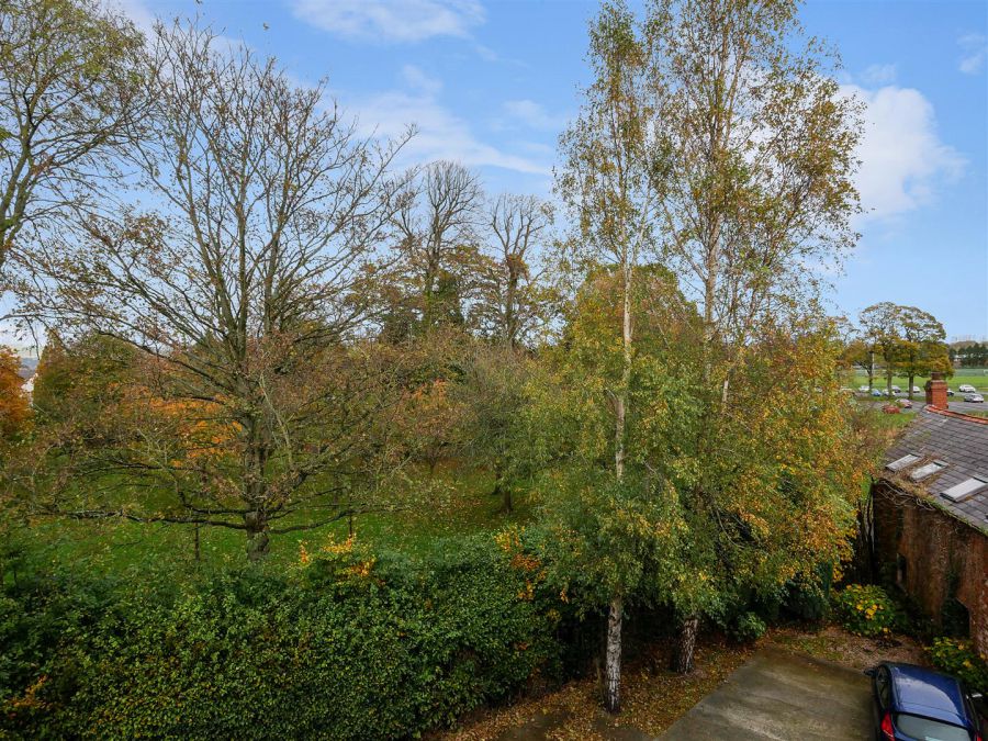 Apt 5 6A Rosetta Park