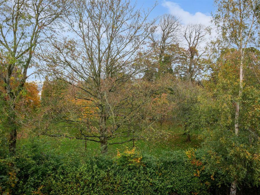 Apt 5 6A Rosetta Park