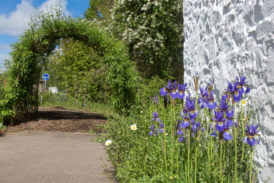 101 Belvoir Drive, Belvoir Park