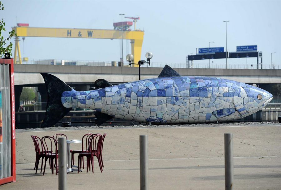 Apt 6, 135 Woodstock Road