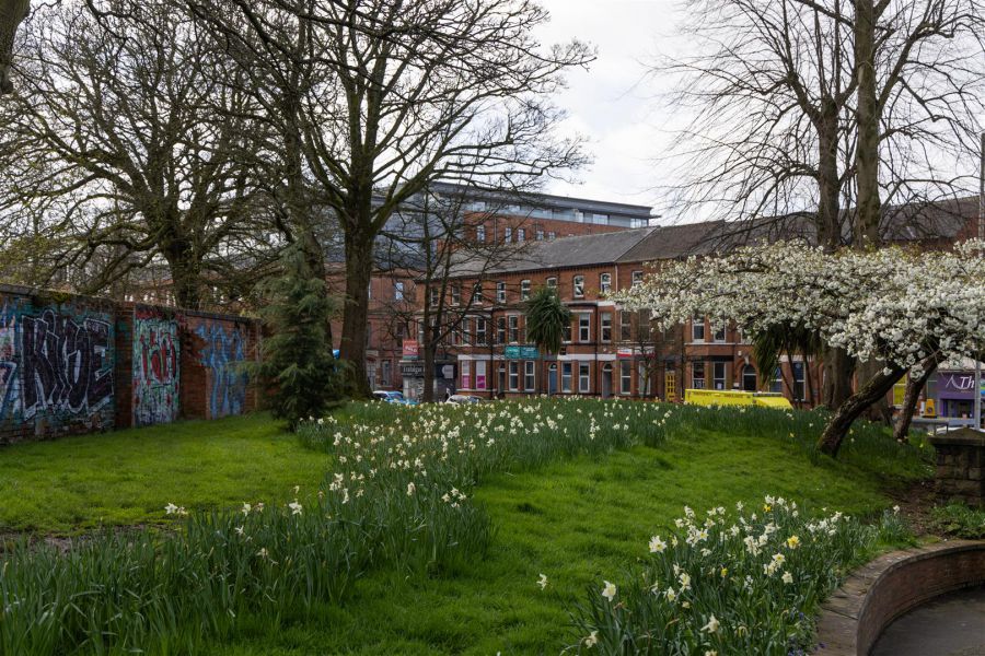 2 Rushfield Avenue, Ormeau Road