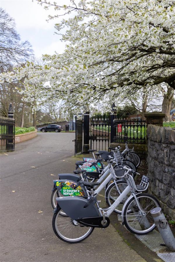 60 Walmer Street, Ormeau Road