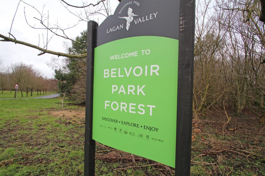 4 Drumart Walk, Belvoir Park