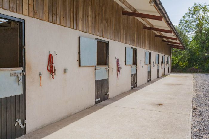 Country House With Equestrian Facilities And Lands 