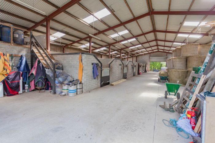 Country House With Equestrian Facilities And Lands 