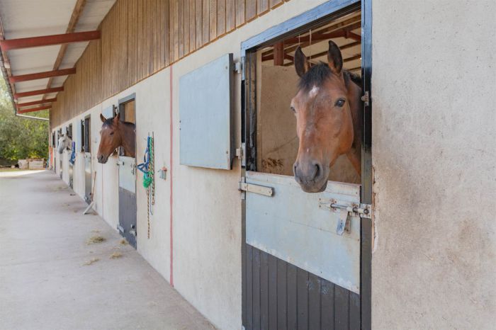 Country House With Equestrian Facilities And Lands 