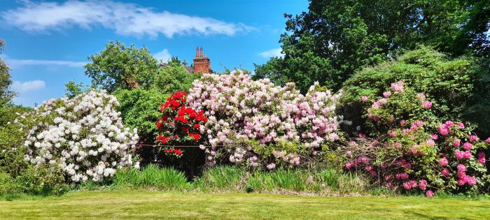 Clonaslee, 2 Lurgan Road